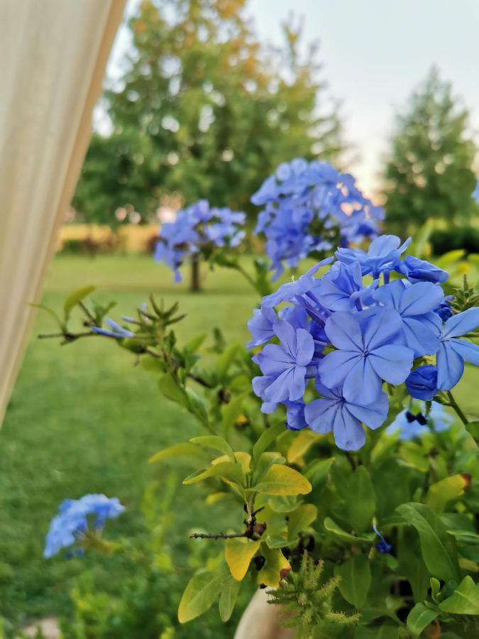 B&B Casazze Dream Marcaria 外观 照片